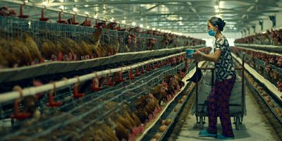 Cartel de Aférrate a tus raíces