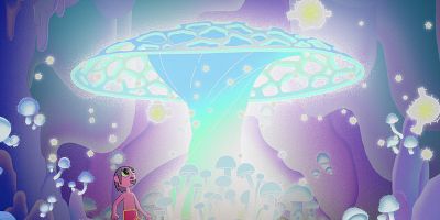 Cartel de Desde adentro