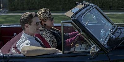 Cartel de Dog Murphy