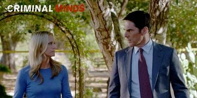 Cartel de Perennials