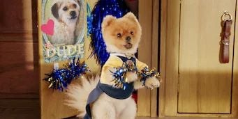 Cartel de El primer día de la callejera