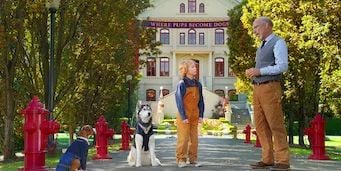 Cartel de Mi tío es Dude