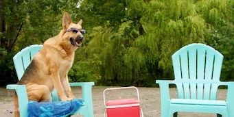 Cartel de Secreto suelto