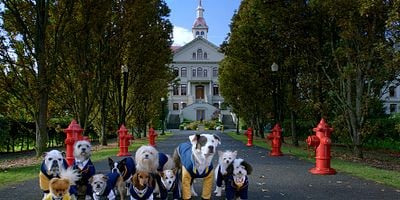 Cartel de La historia de King