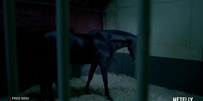 Cartel de ¡Campamento de ponis!