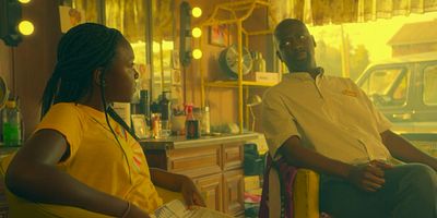 Cartel de Polishing the Mirror