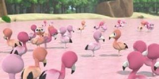 Cartel de Los hipopótamos sedientos