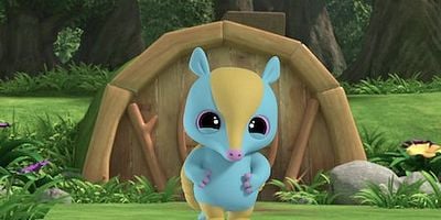 Cartel de Armadillo, el exploradorcillo