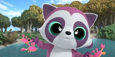 Cartel de Mapache de Cozumel, el guardián del manglar