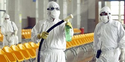 Cartel de El futuro de la carne