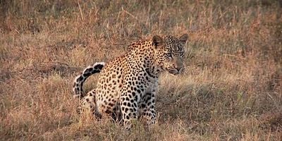 Cartel de Lugar y momento equivocados