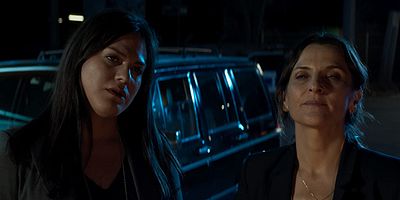 Cartel de Lobos contra leonas