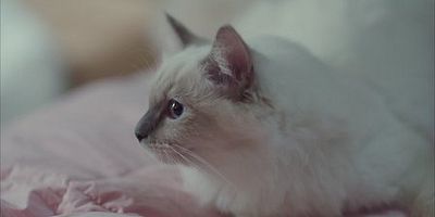 Cartel de Episodio 3