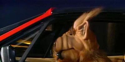 Cartel de Try to Remember - Part 1