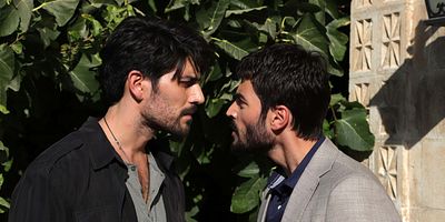 Cartel de Hercai 43.Bölüm