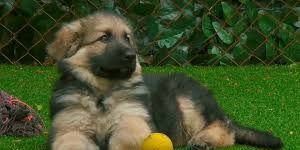 Cartel de Episodio 4