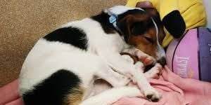 Cartel de Episodio 7