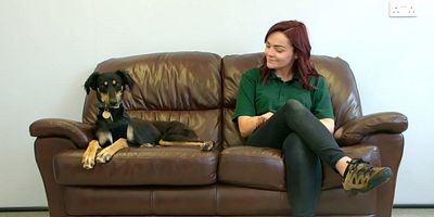 Cartel de Episodio 6