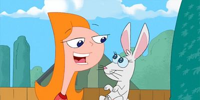 Cartel de Adiós, conejito