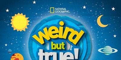 Cartel de Avalancha de papeles y reciclaje