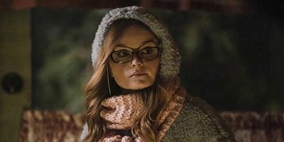 Cartel de Regal Jumping Spider