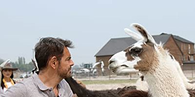 Cartel de ¡Llamas, llamas, llamas!