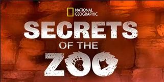 Cartel de Stand by Your Manatee