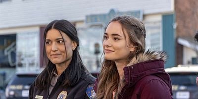 Cartel de Ola de frío