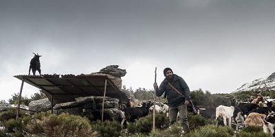 Cartel de Supervivencia