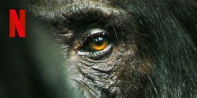 Cartel de El paraíso