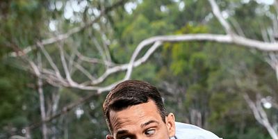 Cartel de Wet & Wild Rainforests