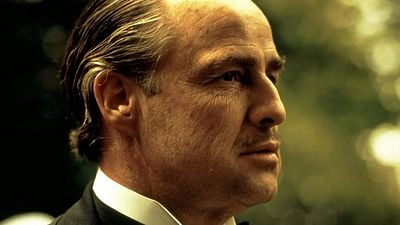 Un invitado inesperado: el gato callejero que casi arruina la escena más famosa de 'El Padrino' noticias imagen