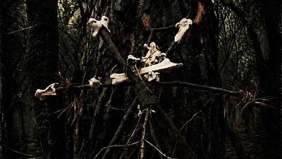 México lleva el terror nacional a Francia con 'The Offering' y 'The Blind Alley' como representantes del género noticias imagen