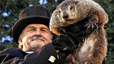 A Quentin Tarantino no le gusta esta película que a todo mundo le encanta noticias imagen