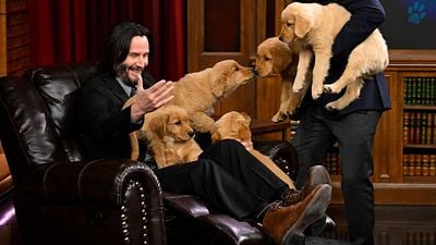 'John Wick 4': Keanu Reeves jugando con perritos será lo mejor de tu fin de semana noticias imagen