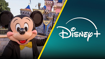 Mujer muere en parque de Disney y la compañía se niega a pagar indemnización porque ella aceptó prueba gratis de Disney+ noticias imagen