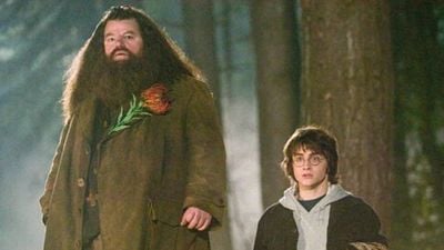 El vínculo entre dos personajes de Harry Potter que casi nadie valoró ni notó en toda la saga noticias imagen