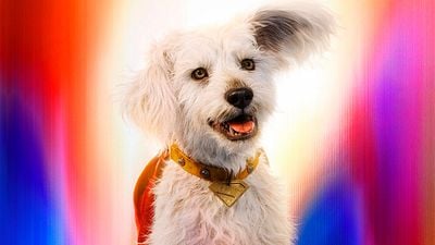 Muchos perros abandonados podrían recibir ayuda gracias a Google, Superman y Krypto noticias imagen