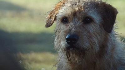 Esta es la película más vista de Amazon que te conmoverá hasta las lágrimas noticias imagen