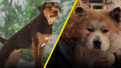 Hoy en TV: No debes ver estas 2 películas si amas a los perritos (te rompen el corazón)