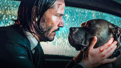 Todos los lomitos que han actuado junto a Keanu Reeves en la saga 'John Wick' noticias imagen