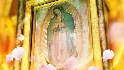 Los 10 peores episodios de 'La Rosa de Guadalupe': son tan malos que dan risa noticias imagen