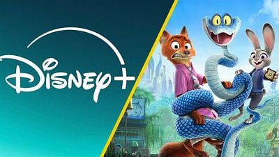 Disney Plus remata su suscripción en México y pagarás únicamente 49 pesos para ver 'Zootopia 2' y todos los estrenos de la plataforma noticias imagen