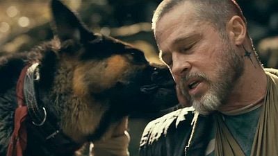 “Llegué a quererlo muchísimo”: Brad Pitt y la tierna conexión que tuvo con el perro de 'El corazón de la bestia' noticias imagen