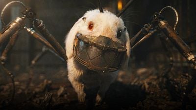 'Guardianes de la Galaxia 3': La desgarradora teoría detrás del nombre de Piso, amiga de Rocket noticias imagen