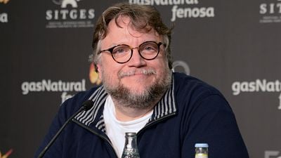 "Un árbol sin raíces no es un árbol": Guillermo del Toro agradece el reconocimiento de los Premios Ariel 2025 a su carrera noticias imagen