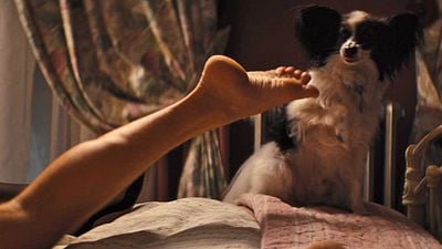 El famoso actor que aceptó trabajar por el salario mínimo del sindicato para financiar la película de sus sueños noticias imagen