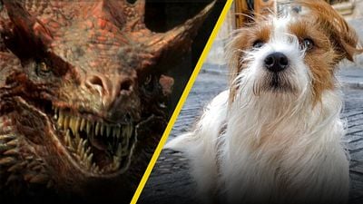 'House of the Dragon': ¿Realmente patearon al perrito para grabar el final del episodio 1? noticias imagen