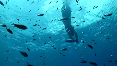 Johnny Depp aparece en una de las mejores películas de aventuras de todos los tiempos y puedes verlo en streaming noticias imagen