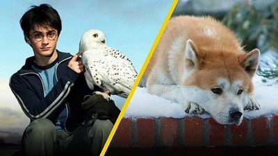 Así se verían las mascotas más famosas del cine si fueran alebrijes en Día de Muertos noticias imagen